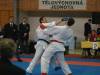 kumite10