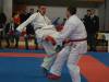 kumite15