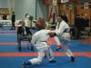 kumite17