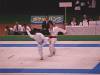 ms_kumite035