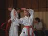 2kata11