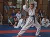kata208