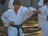 2karate03