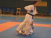 mvcske_kumite18