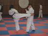 kumite18