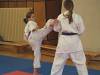 kumite22