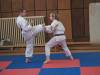kumite29