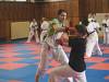 kumite44