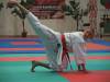 harasuto32