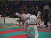 harasuto12